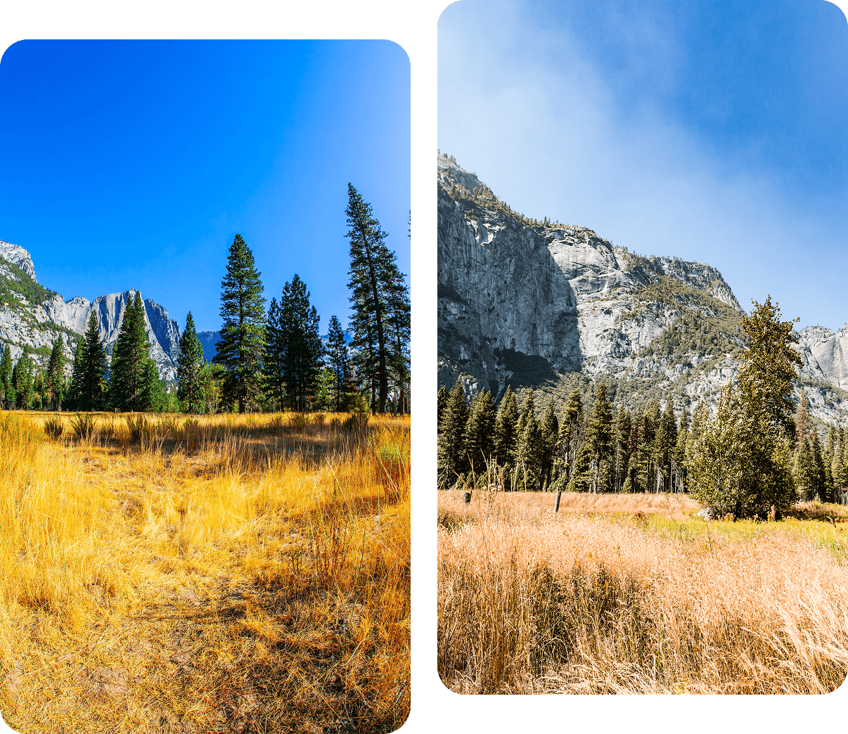 Two side-by-side images: Left shows a grassy field with trees and a mountain under a clear blue sky; right shows a similar scene in sepia tones with tall trees and rugged cliffs.